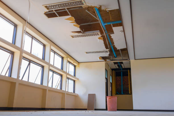Best Water damage cleanup near me  in Titusville, PA