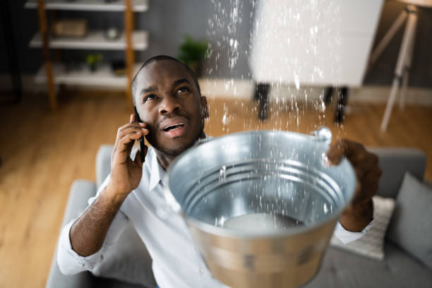 Best Flood restoration services  in Titusville, PA
