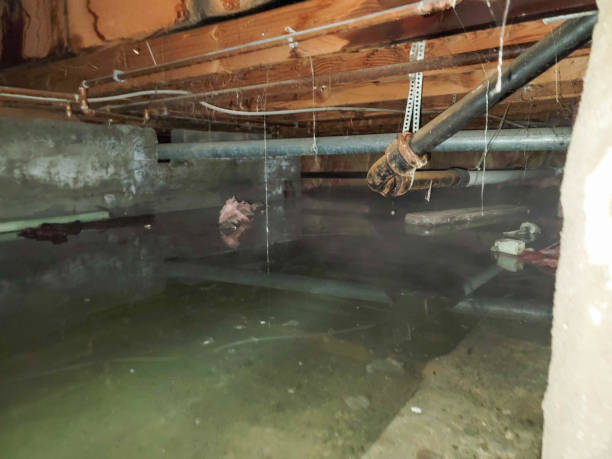 Best 24/7 water damage repair  in Titusville, PA