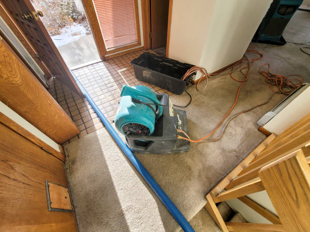 Best Flooded house restoration  in Titusville, PA