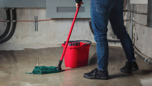 Best Sewage cleanup and water damage restoration  in Titusville, PA