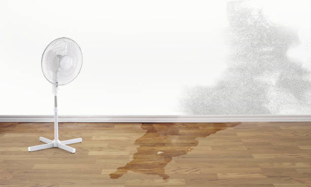 Best Residential water damage restoration  in Titusville, PA