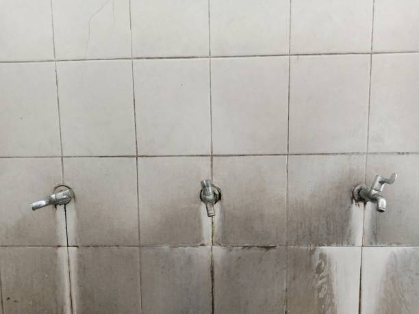 Best Commercial water damage restoration  in Titusville, PA