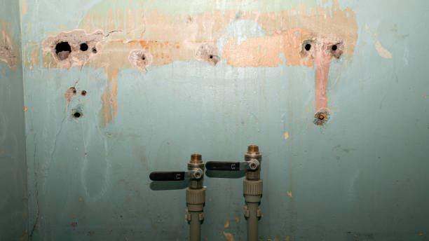 Best Water damage restoration near me  in Titusville, PA