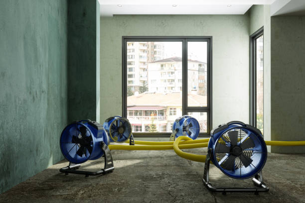 Best Ceiling water damage repair  in Titusville, PA
